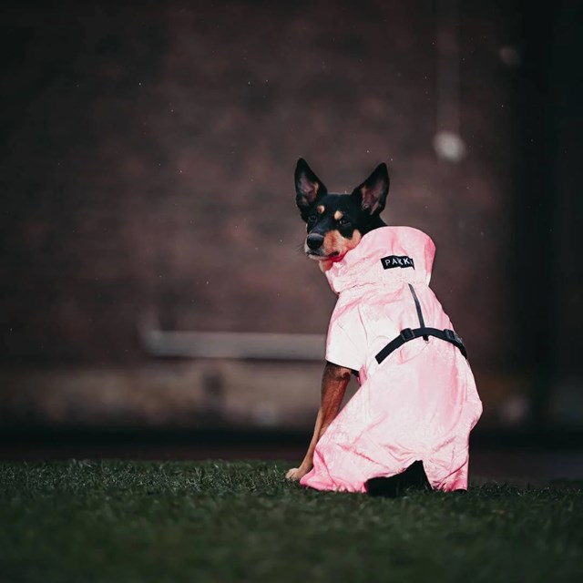 Paikka Visibility Raincoat - Hot Pink