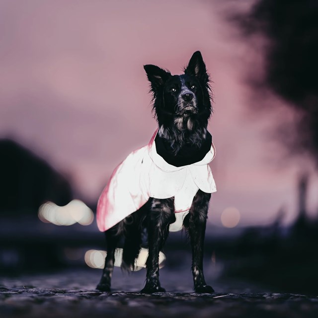 Paikka Visibility Raincoat - Hot Pink