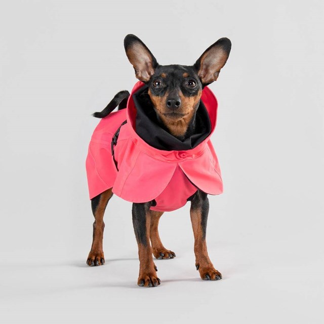 Paikka Visibility Raincoat - Hot Pink