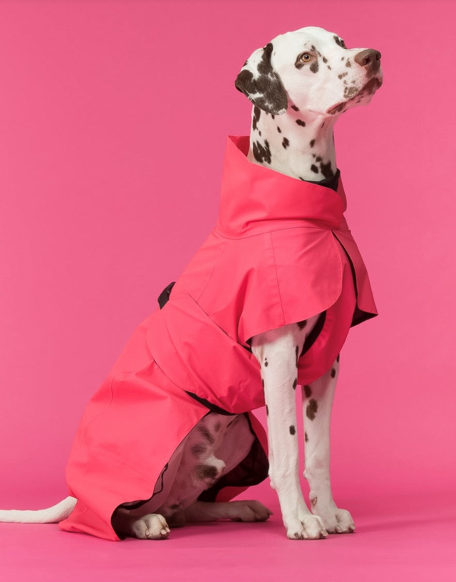 Paikka Visibility Raincoat - Hot Pink