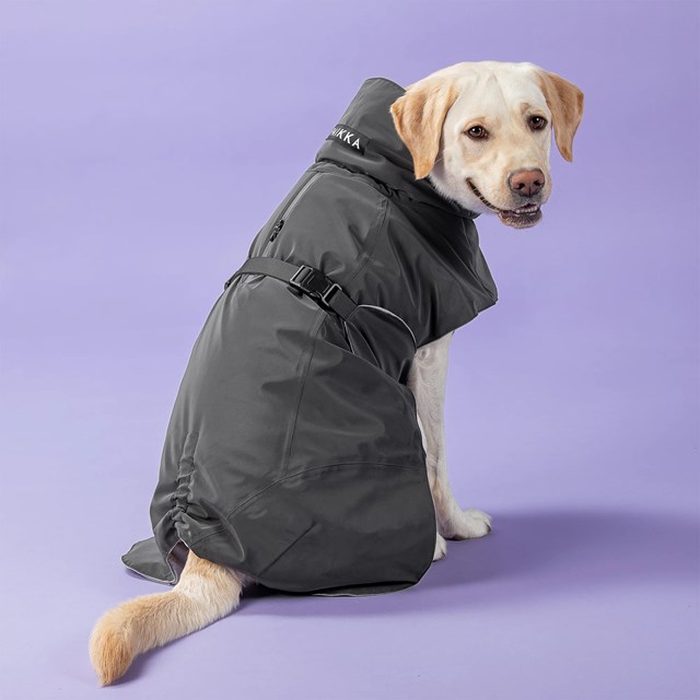 Paikka Visibility Winter Jacket Dark