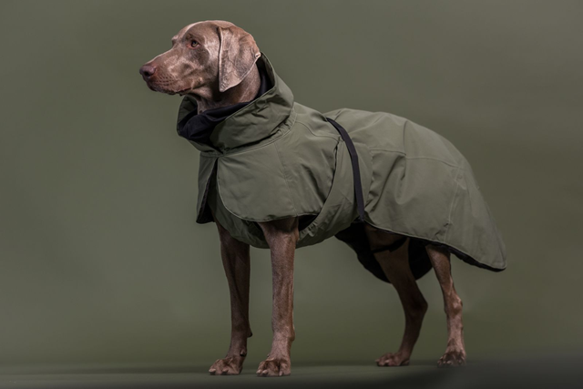 PAIKKA Visibility Winter Jacket Wool Green