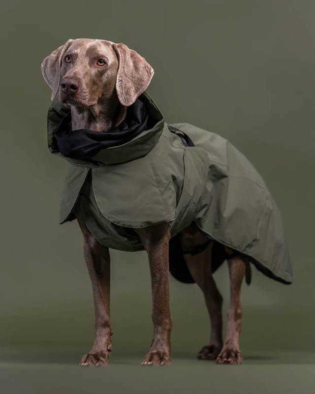 PAIKKA Visibility Winter Jacket Wool Green