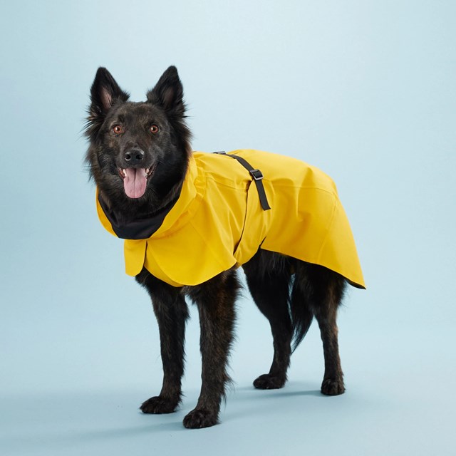 PAIKKA Visibility Raincoat Lite - Yellow