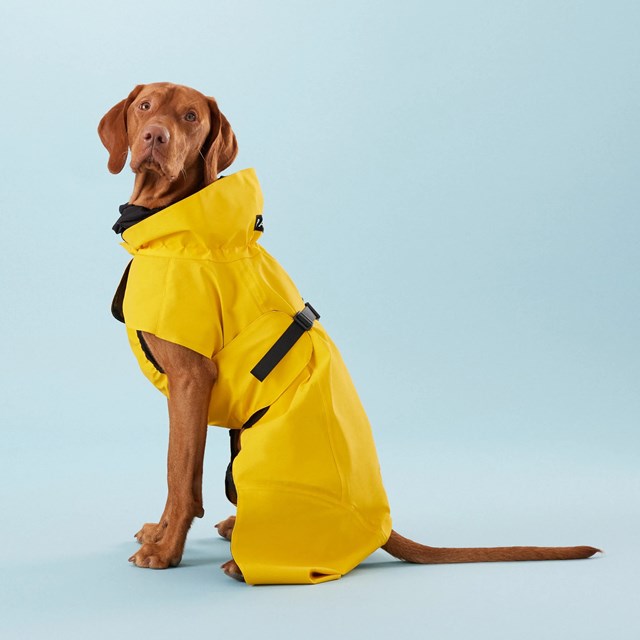 PAIKKA Visibility Raincoat Lite - Yellow