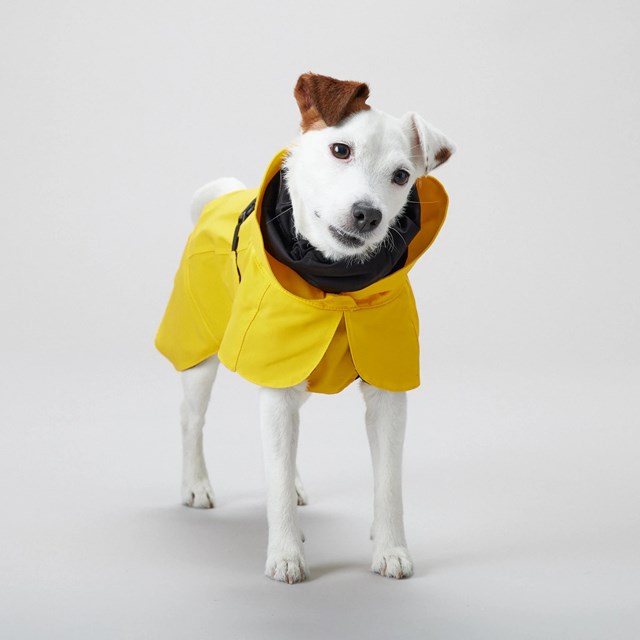 PAIKKA Visibility Raincoat Lite - Yellow