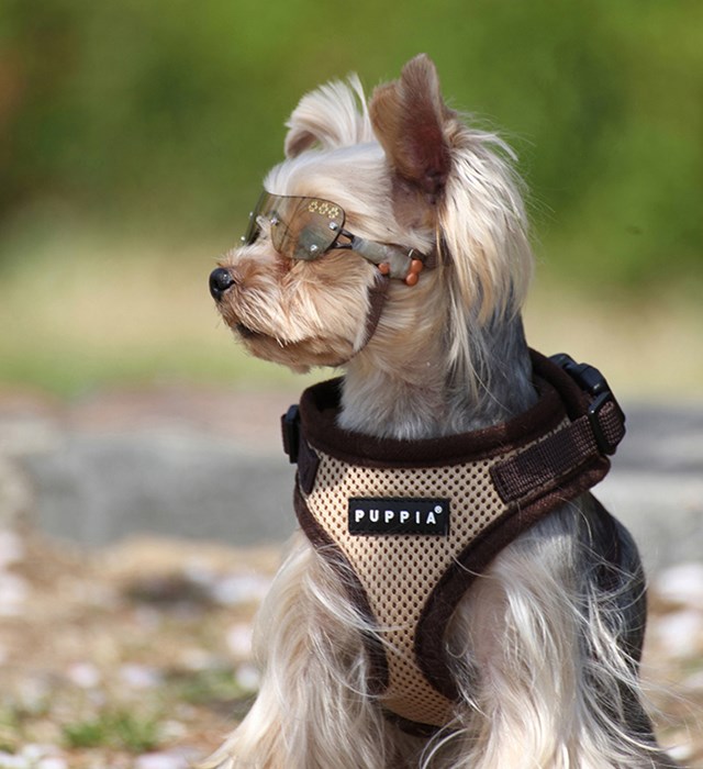 RITEFIT SOFT Beige - Hundesele