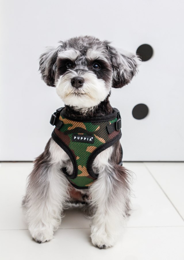 RITEFIT SOFT Camo - Hundesele