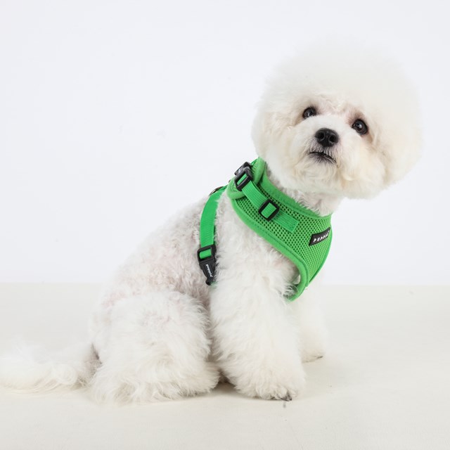 RITEFIT SOFT Green - Hundesele