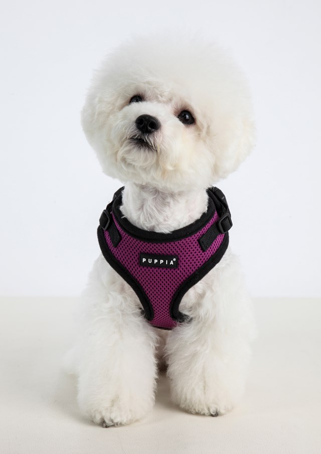 RITEFIT SOFT Purple - Hundesele