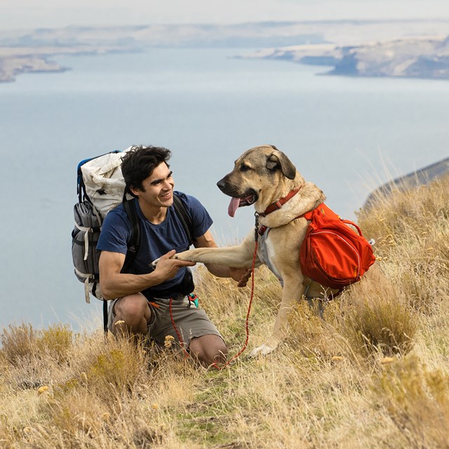 Ruffwear Palisades Pack Hundekløv - Red Sumac