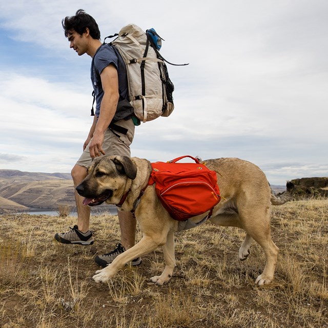 Ruffwear Palisades Pack Hundekløv - Red Sumac