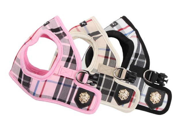 JUNIOR Black - Jacket Hundesele