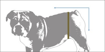 Bomullsbukser med kamuflasjemønster