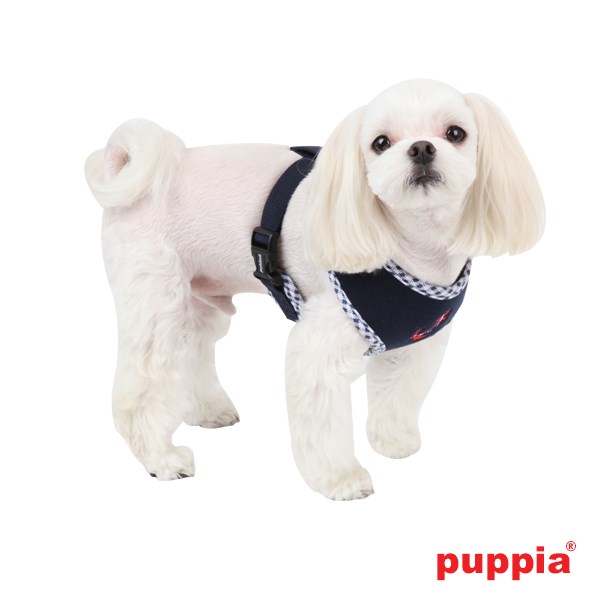 ATTICUS Navy - Hundesele LARGE