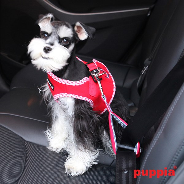 ATTICUS Red - Jacket Hundesele