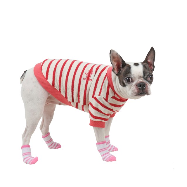 Dolce Pink - Hundesokker - Large