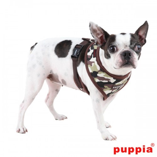 Legend Brown - Hundesele