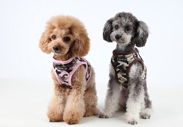 Legend Brown - Jacket Hundesele