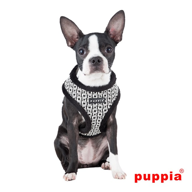 DAMIER Black - Fôret Hundesele