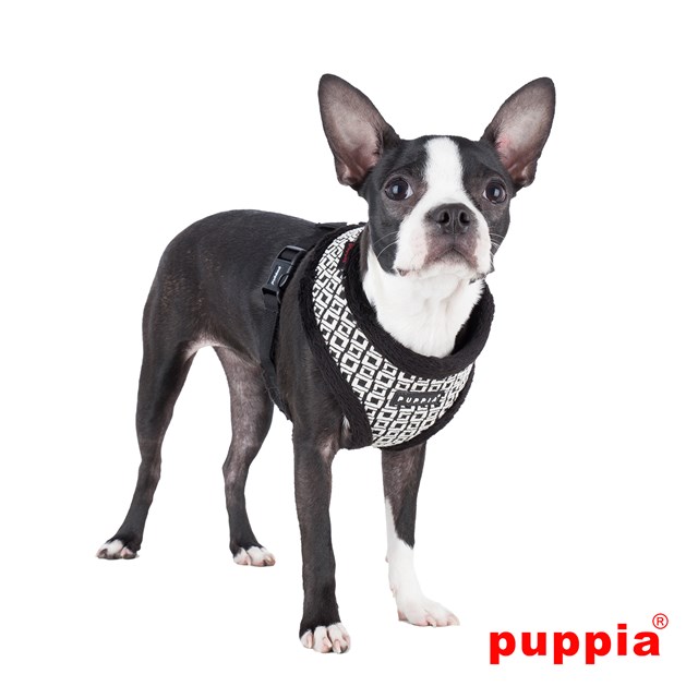 DAMIER Black - Fôret Hundesele