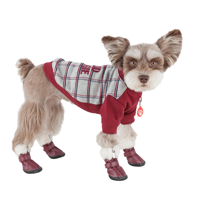 PATHFINDER Hundesko - Brun