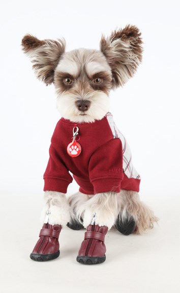 PATHFINDER Hundesko - Brun