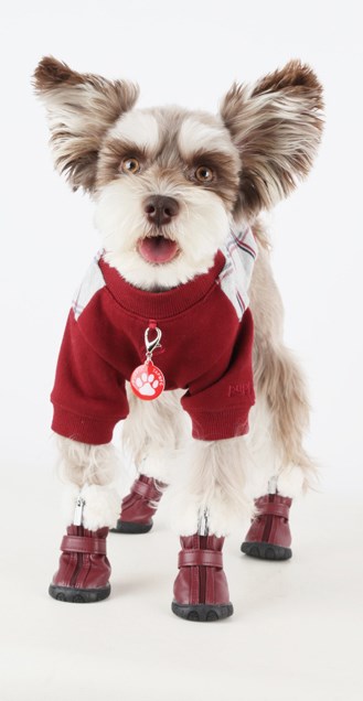 PATHFINDER Hundesko - Brun