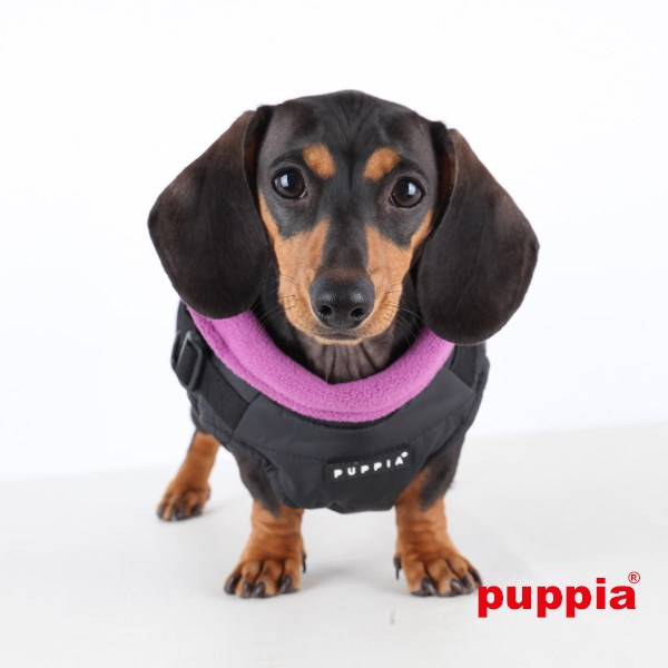 Mountaineer II Black - Fôret Hundedekken med Integrert Sele