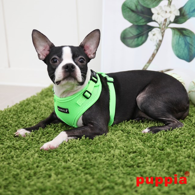 RITEFIT NEON SOFT Green - Hundesele