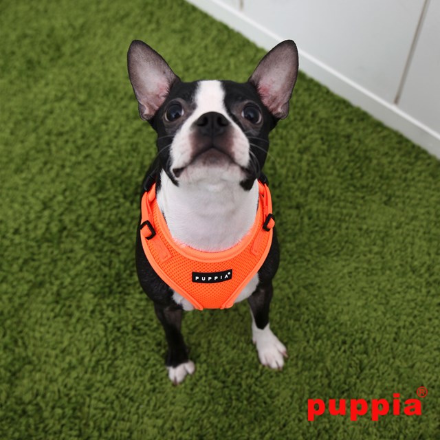 RITEFIT NEON SOFT Orange - Hundesele