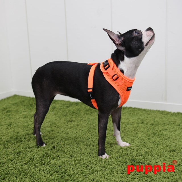 RITEFIT NEON SOFT Orange - Hundesele