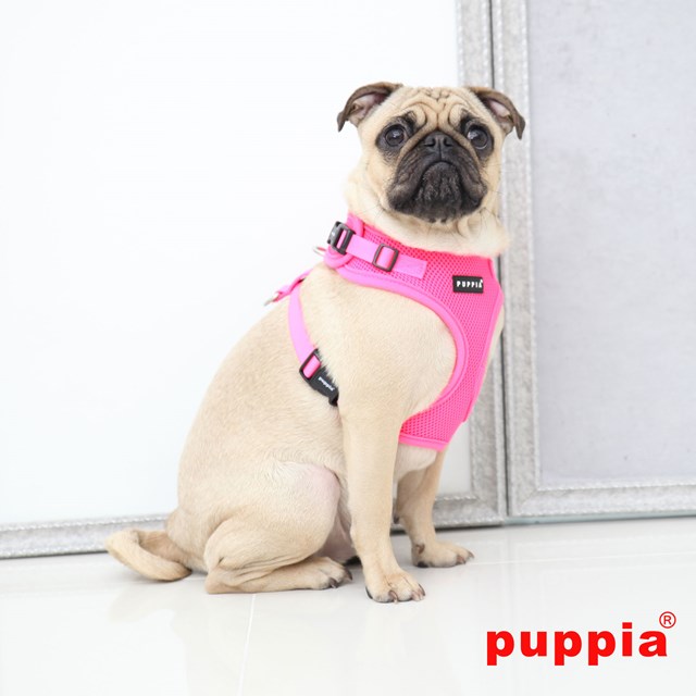 RITEFIT NEON SOFT Pink - Hundesele