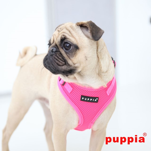 RITEFIT NEON SOFT Pink - Hundesele