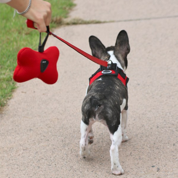 SOFT Hundeposeholder - Camo