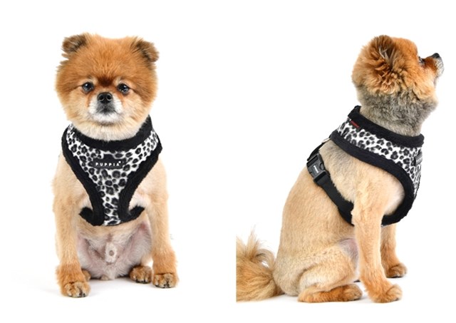 Leonard Black - Fôret Hundesele