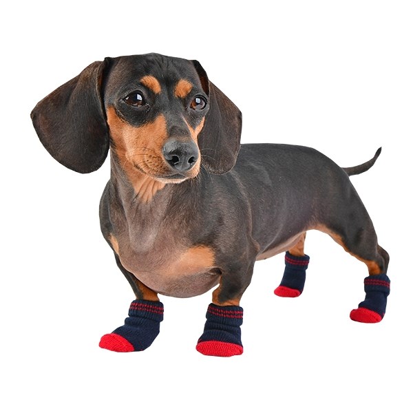 Dylan Navy - Hundesokker