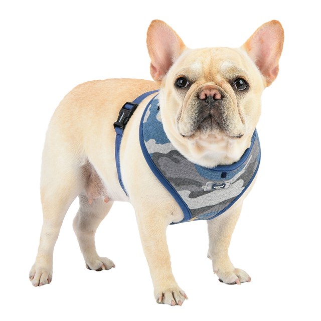 Ensign Blue Camo - Hundesele