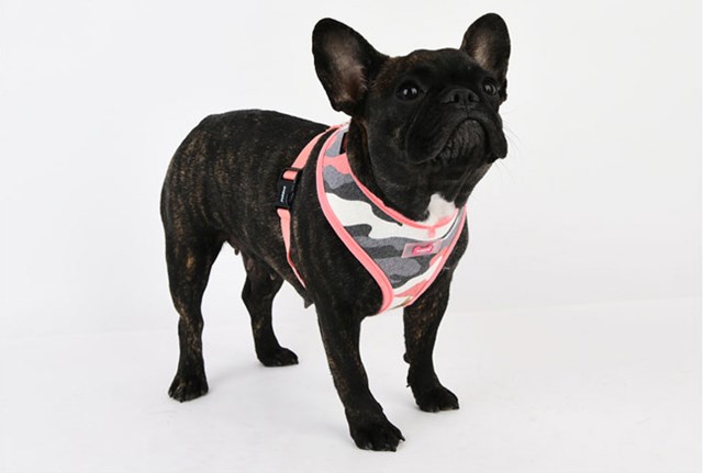 Ensign Pink Camo - Hundesele