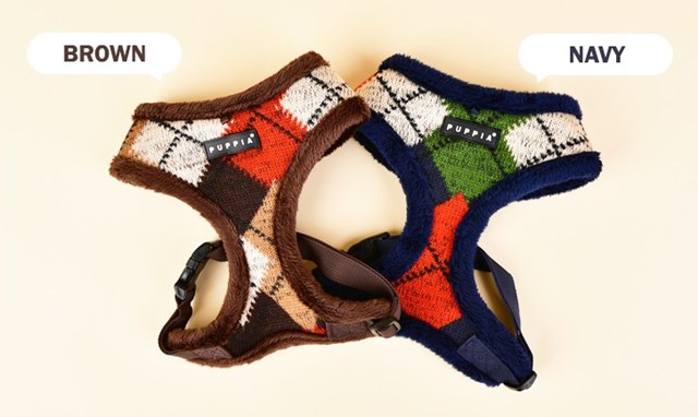 Jolly Brown - Fôret Hundesele