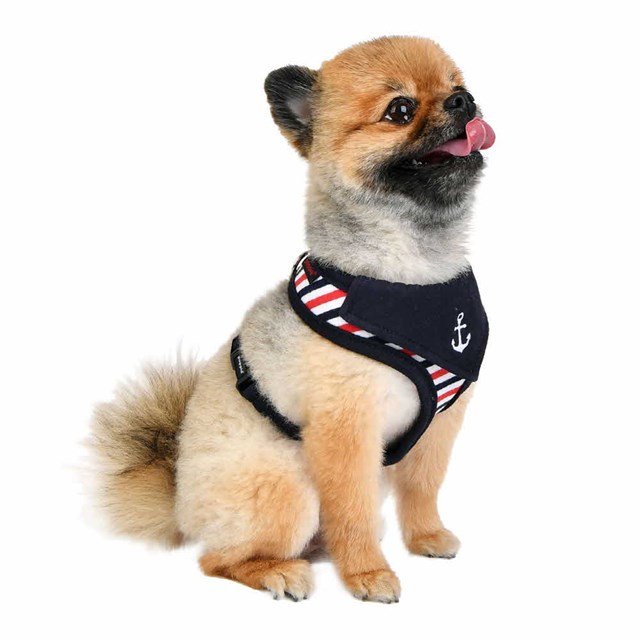 Seaman - Hundesele Navy