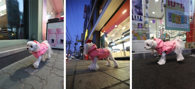 Urban Outdoor Raincoat - Pink