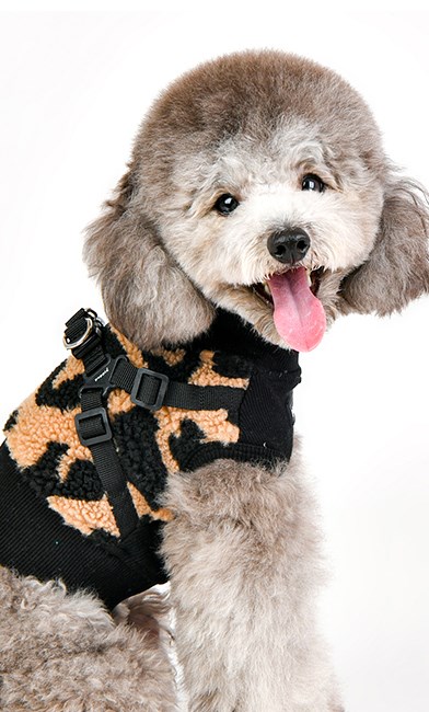 SERVAL BEIGE - HUNDEGENSER MED INTEGRERT SELE