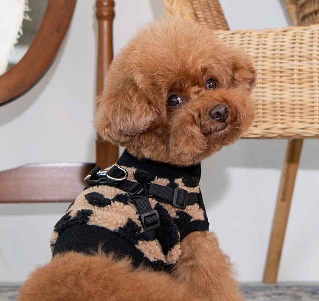 SERVAL BEIGE - HUNDEGENSER MED INTEGRERT SELE