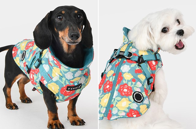 Alyssa Aqua - Hundedekken med integrert sele