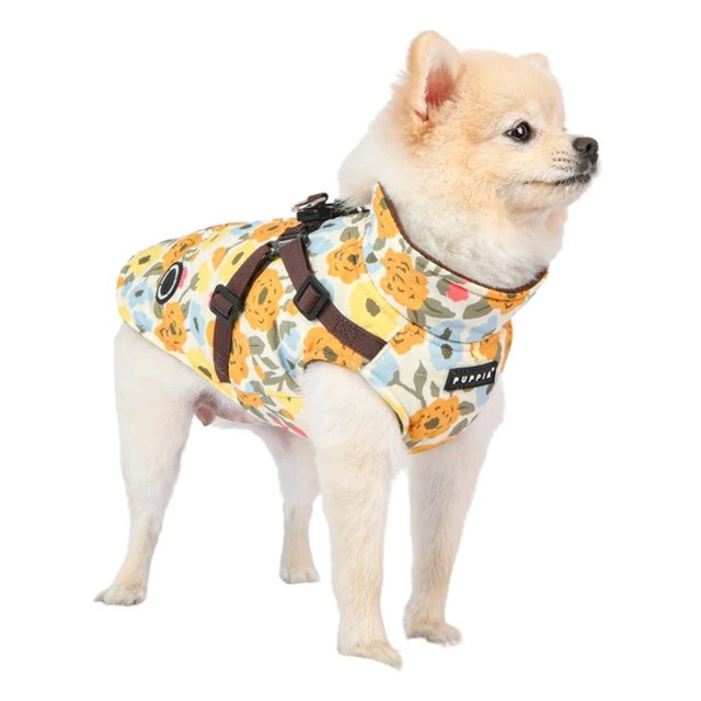 Alyssa Brown - Hundedekken med integrert sele