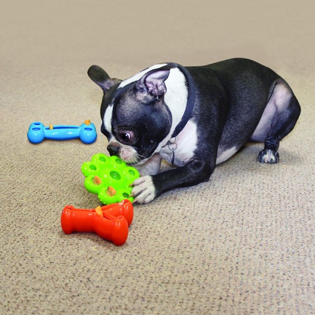 Kong Quest Star Pod - Aktiveringsleke