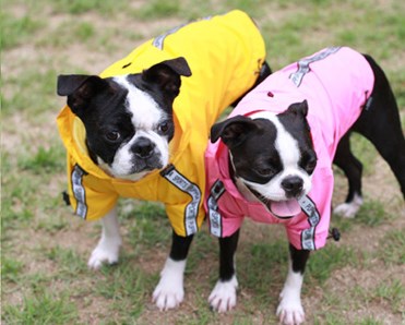 Base Jumper Black - Regndekken