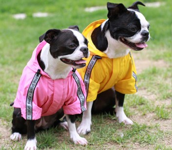 Base Jumper Camo - Regndekken