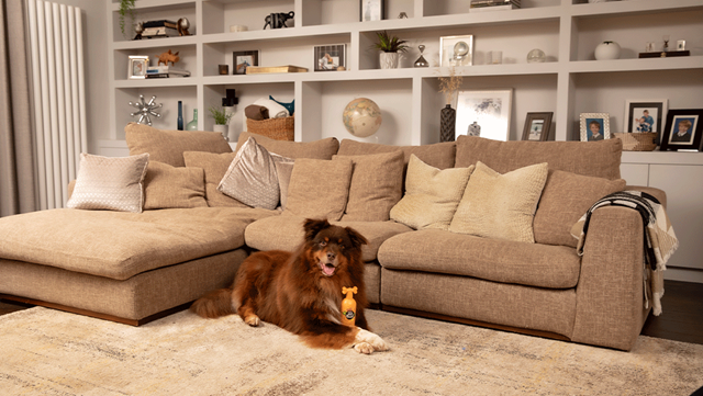 Ditch The Dirt Sjampo 300 ml